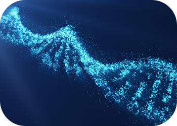 equilibriobiosciences